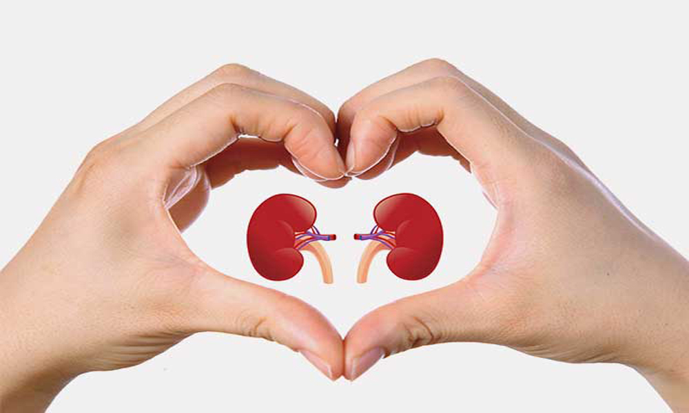 Is Exforge safe for kidney