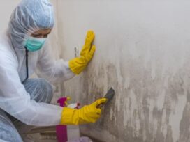 Expert Mold Testing