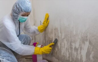 Expert Mold Testing