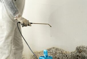Mold Cleanup